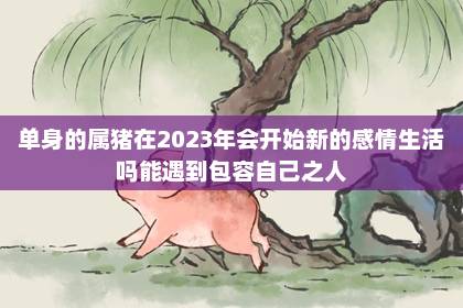 單身的屬豬在2023年會開始新的感情生活嗎 能遇到包容自己之人